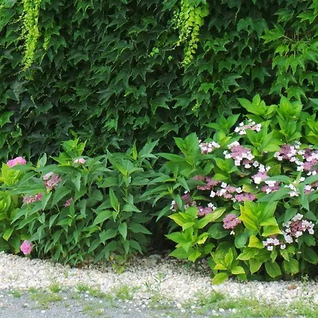 D'hotes Le Paon Blanc Monprimblanc