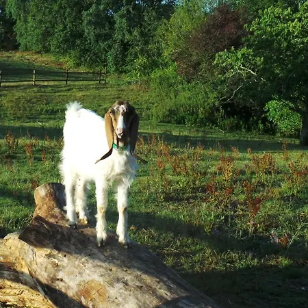 D'hotes Le Paon Blanc