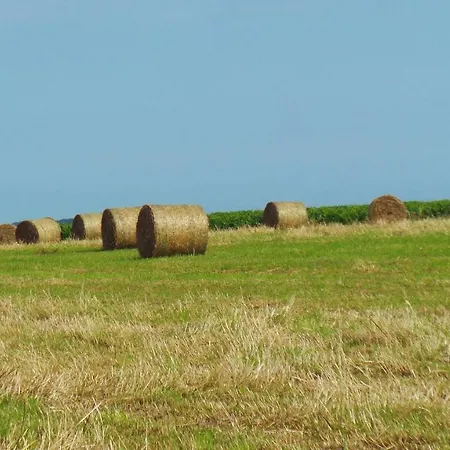 D'hotes Le Paon Blanc * Monprimblanc