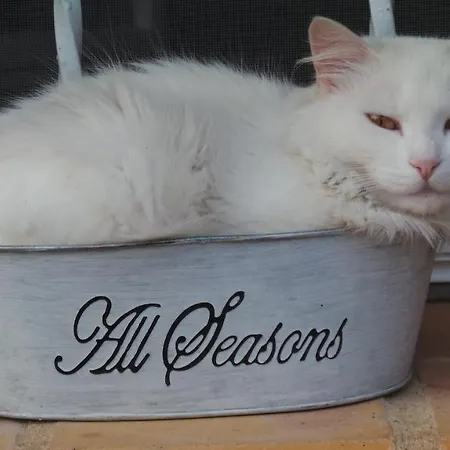 D'hotes Le Paon Blanc *