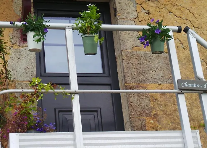 Bed & Breakfast D'hotes Le Paon Blanc Monprimblanc