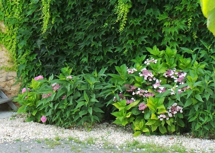 D'hotes Le Paon Blanc Monprimblanc