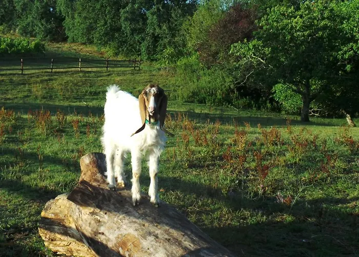 D'hotes Le Paon Blanc