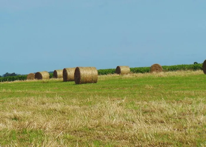 D'hotes Le Paon Blanc * Monprimblanc